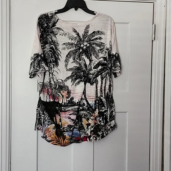 NWT. Christopher & Banks. Short sleeve print top. XL - Picture 2 of 7